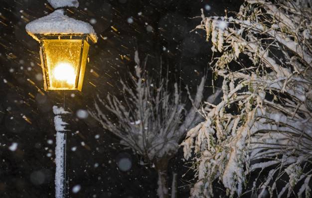 灯笼,树枝,雪