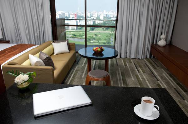 风格,室内,megapolis,曼谷,客厅,城市公寓,优雅,设计