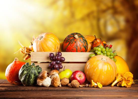 葡萄,蔬菜,南瓜,框,坚果,收获,水果,苹果,蘑菇,秋季