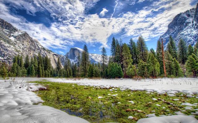 雪,山,冬天,树,优胜美地国家公园,云,天空,CA,森林,美国