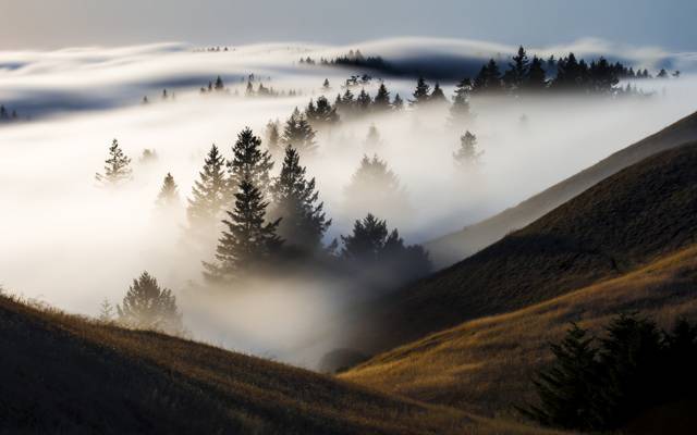 雾,早上,山