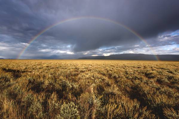 彩虹下多云的天空,在绿草地上,大顿通国家公园,杰克逊,怀俄明州高清壁纸