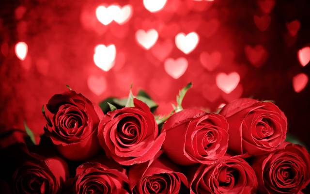 壁纸红玫瑰,心,爱情,情人节那天,玫瑰,浪漫,礼物,红色,鲜花