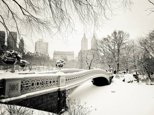 中央公园,曼哈顿,中央公园,雪,纽约市,冬季,大自然,纽约市,树木,纽约,...