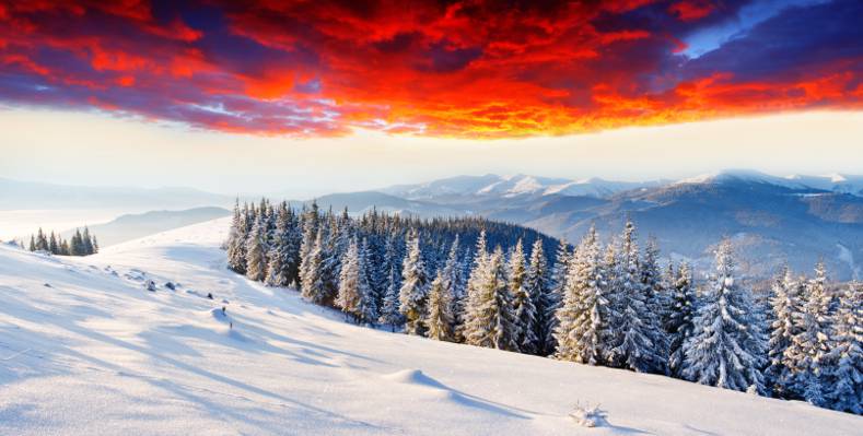 树,雪,山,冬天,发光,云,黎明,森林