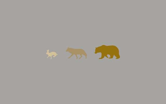 狼,动物,熊,野兔