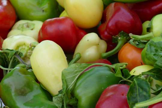 营养蔬菜青椒图片