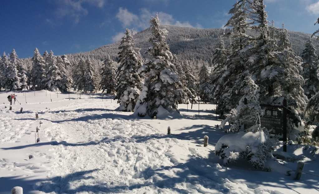 冬季雪地景象图片