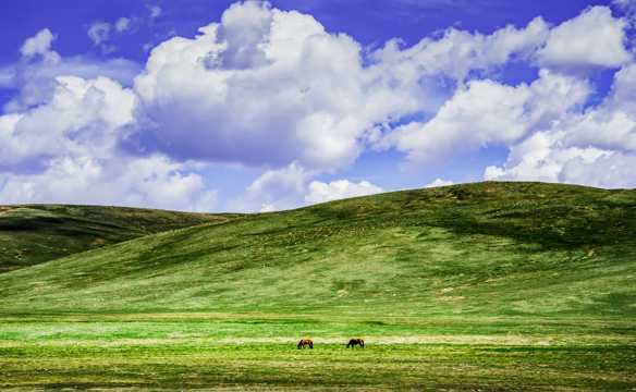 新疆巴音布鲁克草场光景图片