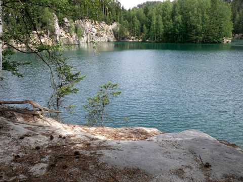 树林旁的湖水图片