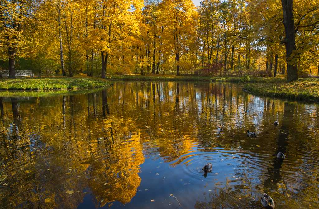 俄罗斯园林唯美秋日景色图片
