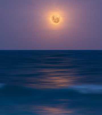 海水的明月图片