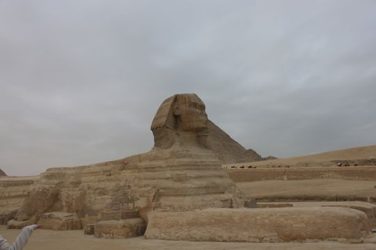 埃及奇特的狮身人面像图片