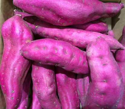 紫色的番薯图片