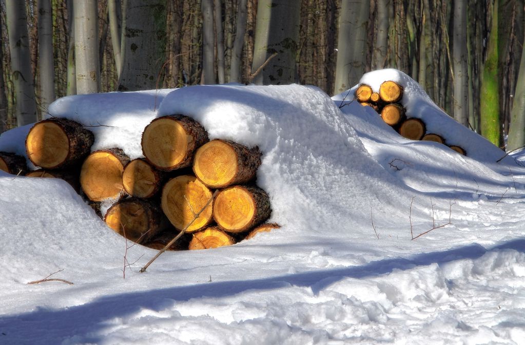 冬季雪地里的木材堆图片