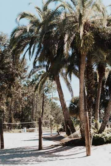 海滩椰子树光景图片