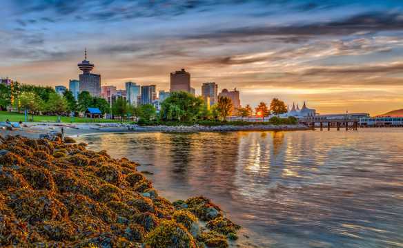 加拿大温哥华码头风光图片