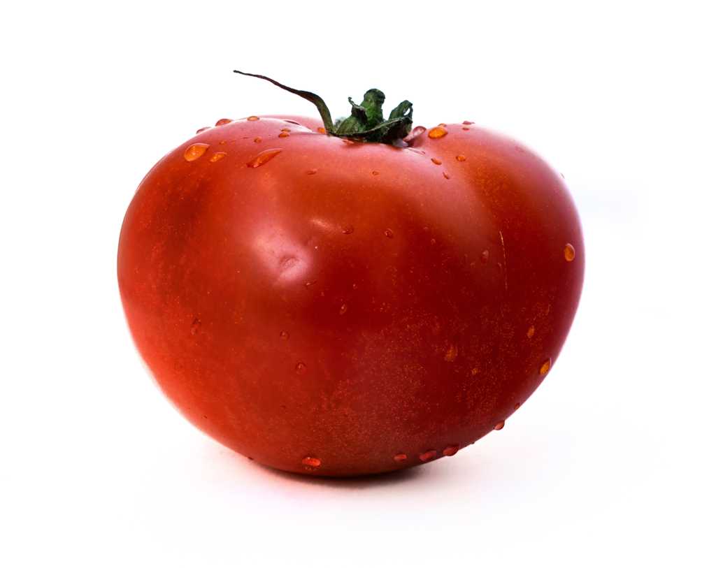 一颗番茄图片