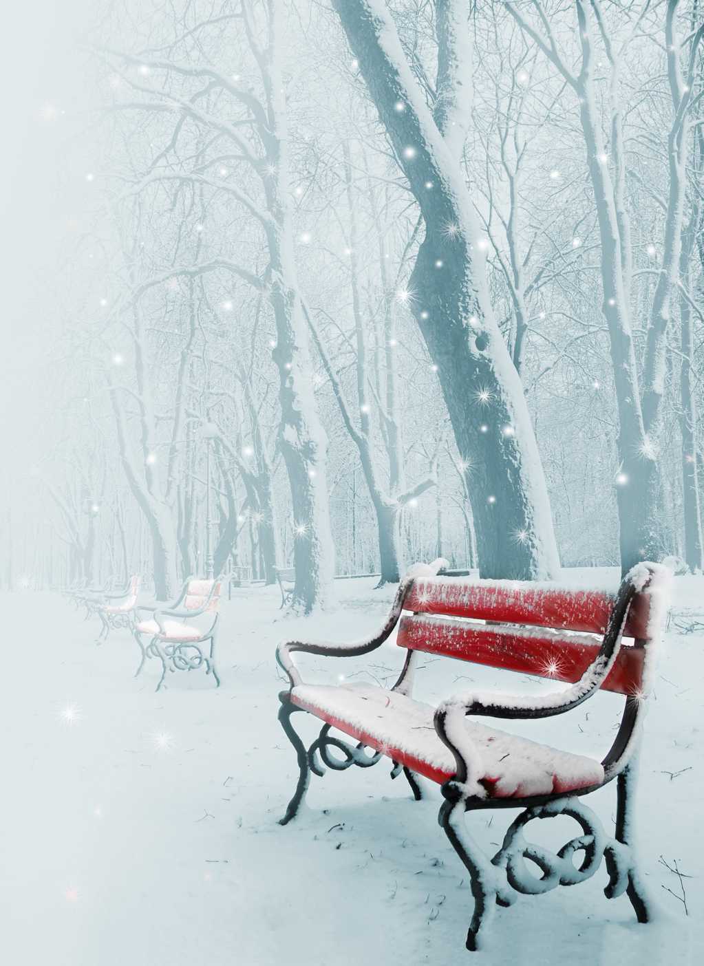 积雪的长椅图片