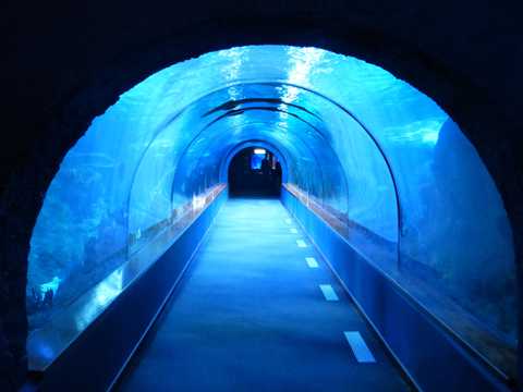 漂亮的海底隧道图片