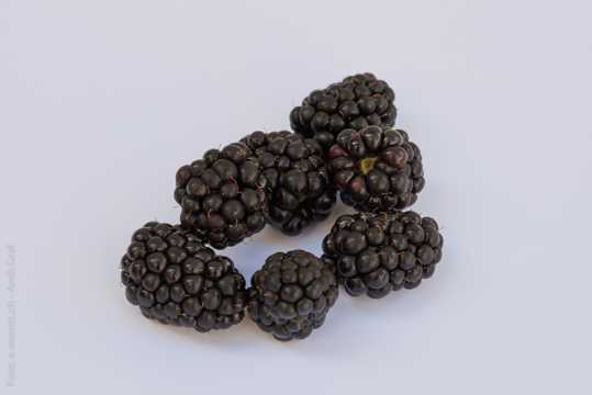 黑莓高清图片