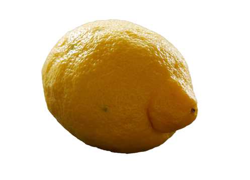 一颗黄柠檬图片