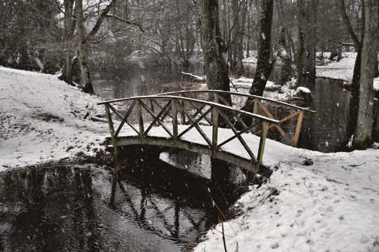 雪中的木桥图片