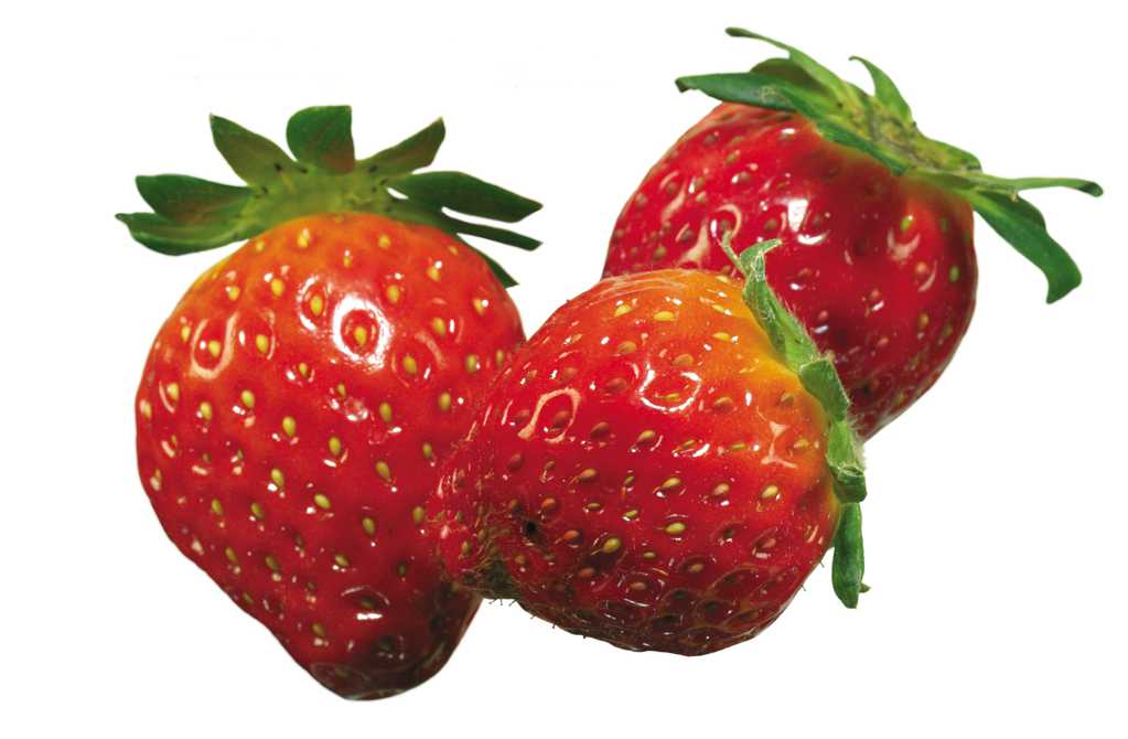 美味的草莓图片