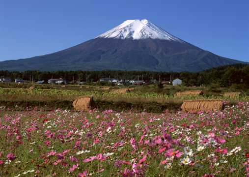 日本富士山春季自然风光图片