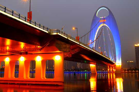 广东大桥夜景图片