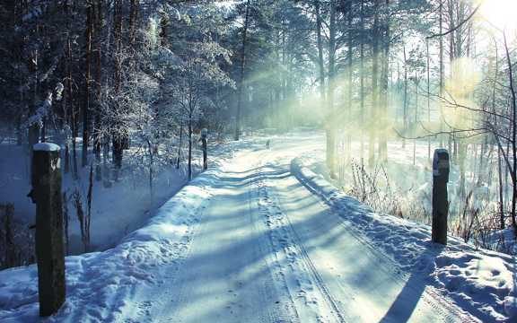 冬天路边雪景图片