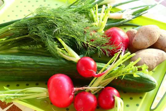 营养绿色蔬菜图片