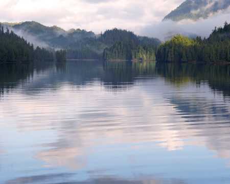 早晨湖水树木自然风光图片