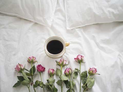 咖啡玫瑰图片