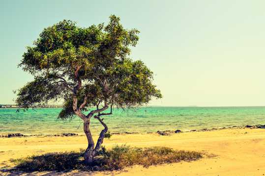 塞浦路斯海滨唯美景象