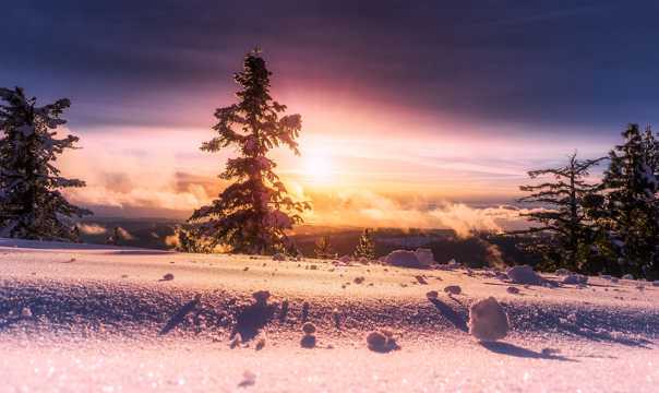 冬日朝阳景色图片