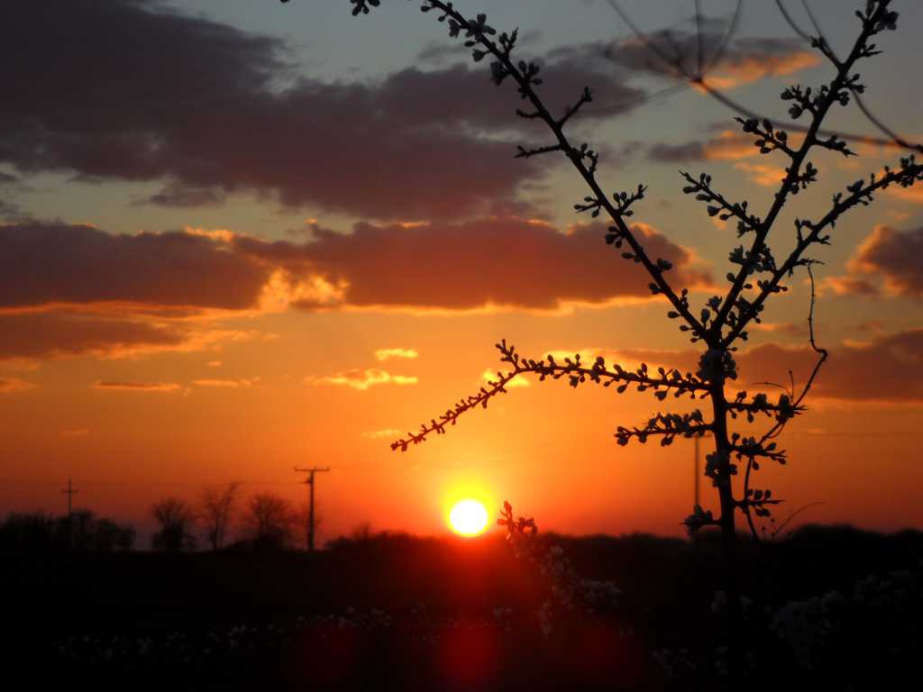 夕阳日影西斜景观图片