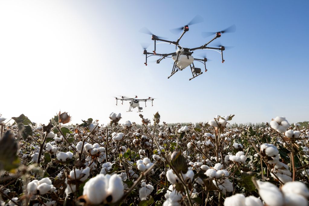 无人机航拍新疆棉花图片