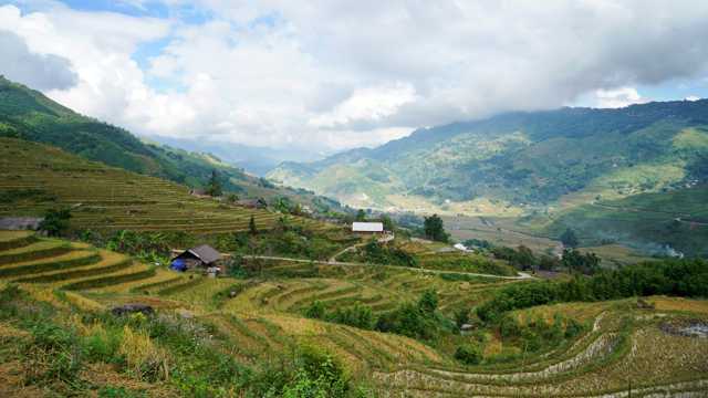 越南山地梯田景物图片