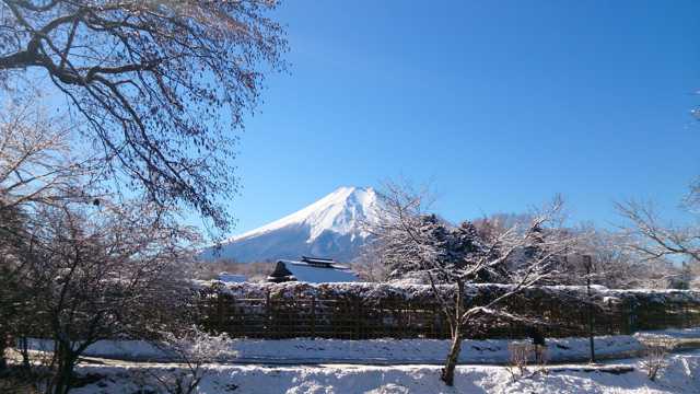 富士山景致图片
