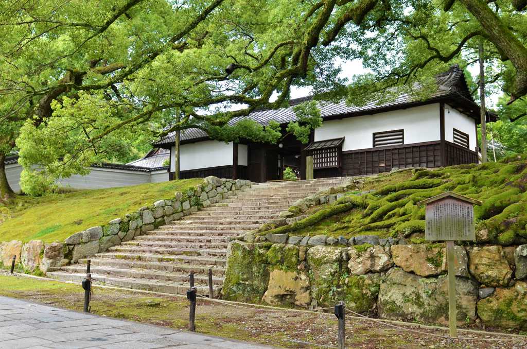 京都青莲院景致图片