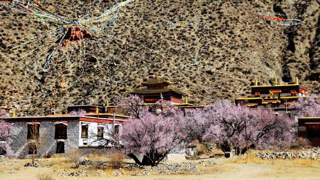西藏雍仲林寺景色图片