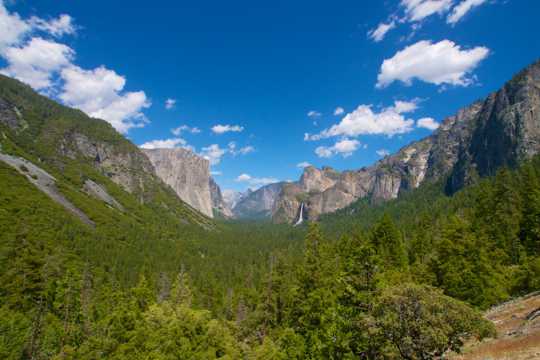 美国加州丛林路径自然风光图片
