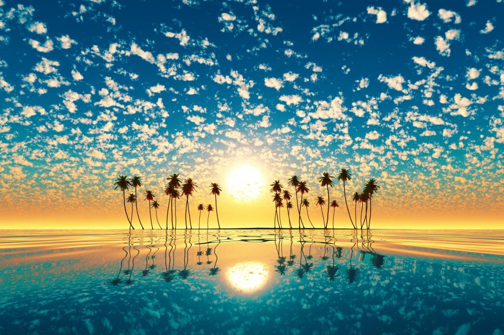 日落,太阳,岛,反射,水,棕榈树
