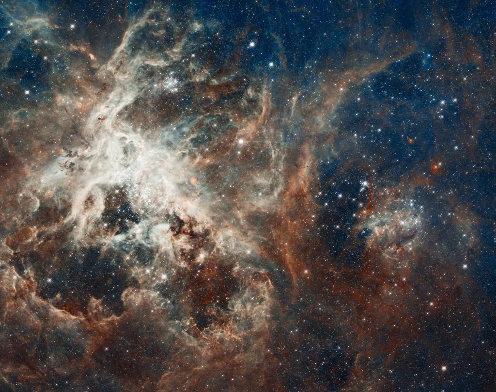 NGC 2070,狼蛛,金鱼,星云,星座