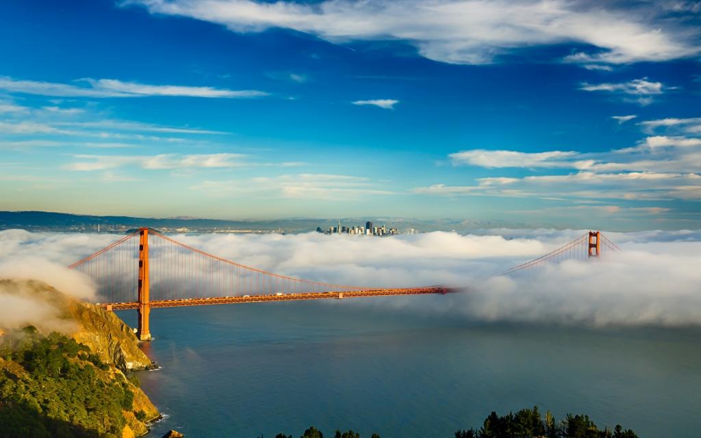 桥,旧金山,金门,雾,湾,城市,天空,云