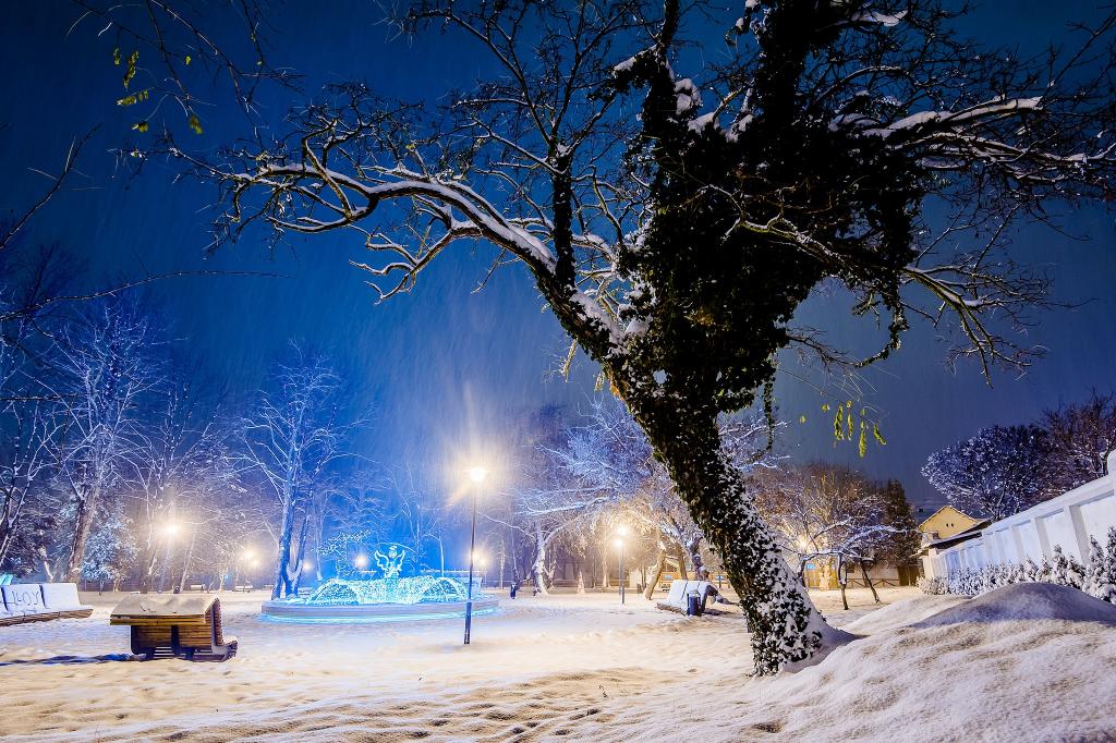 公园,光,雪,冬天,树木,城市,树,晚上,长凳,商店
