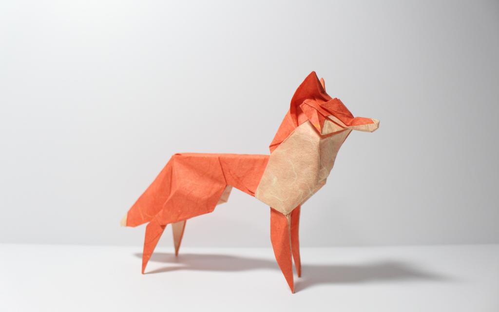 纸,折纸,狐狸