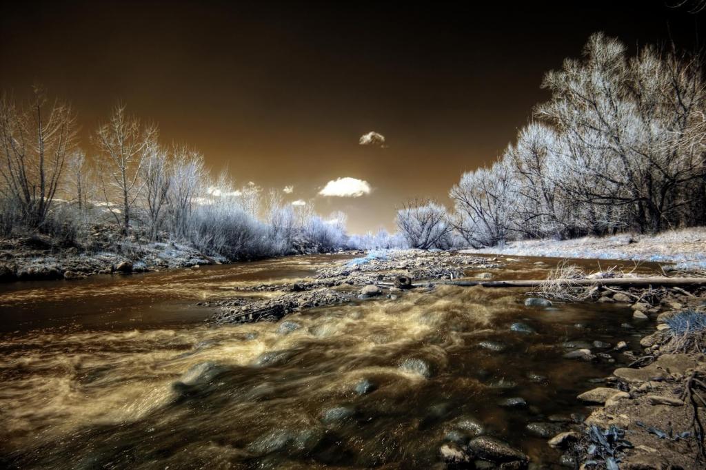 树木包围的水体的灰度摄影,科罗拉多斯普林斯高清壁纸
