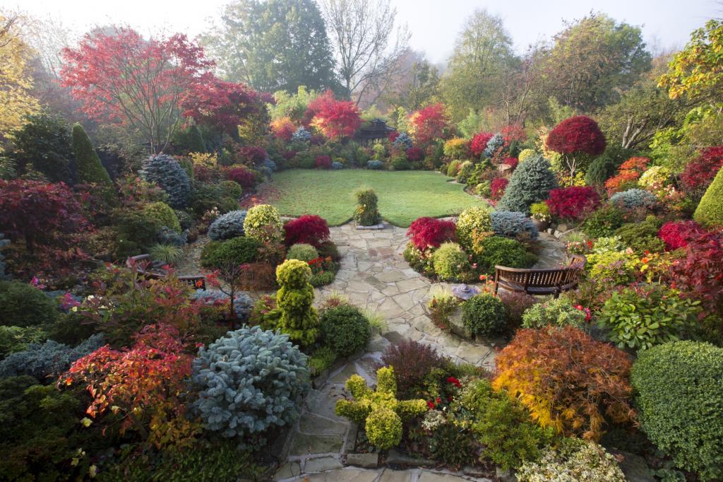 花,花园,雾,草坪,英格兰,灌木,树木,沃尔索尔花园,长凳,秋天,设计